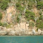В раю нет телевизора: Виргинские острова British Virgin Islands 1778 150x150 В раю нет телевизора: Виргинские острова