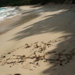 В раю нет телевизора: Виргинские острова British Virgin Islands 1979 150x150 В раю нет телевизора: Виргинские острова