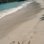 В раю нет телевизора: Виргинские острова British Virgin Islands 2022 150x150 В раю нет телевизора: Виргинские острова