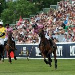 Летний сезон поло: MINT Polo in the Park