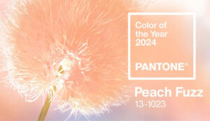   Pantone 2024:    PANTONE 13-1023