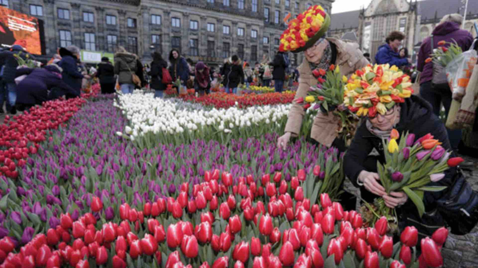  ���� ��������� ������������ ����� ���� ������ the 