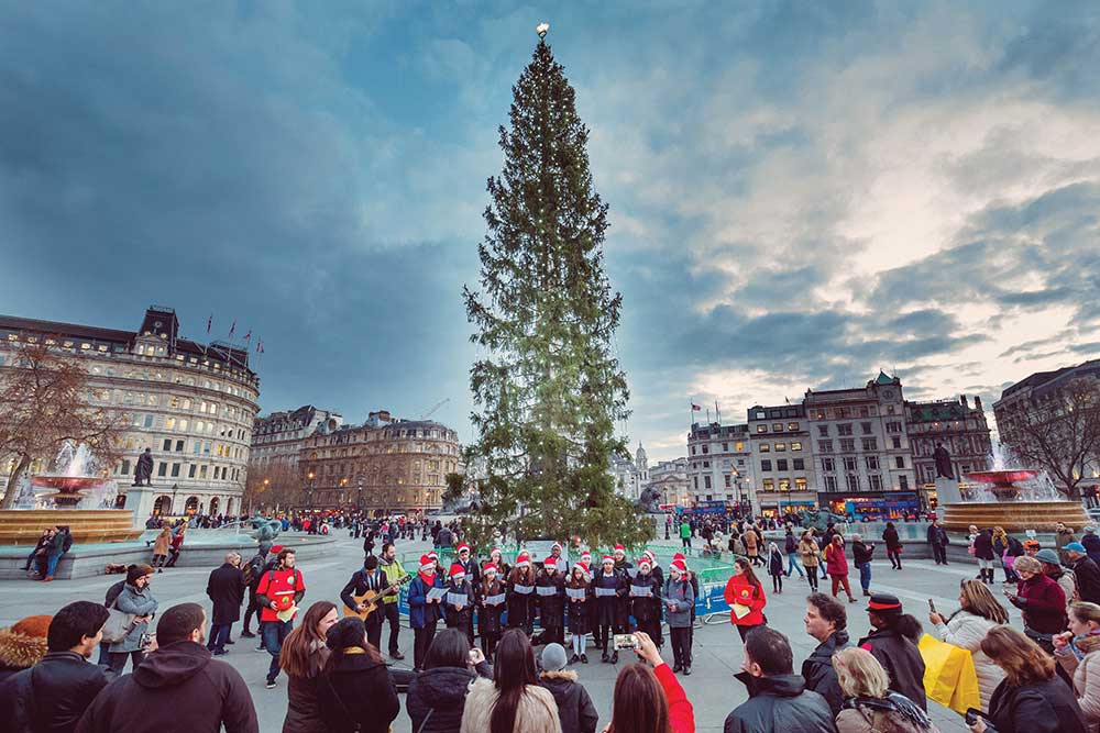 Trafalgar square christmas tree