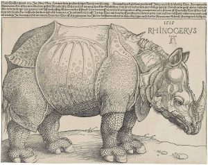 Dürer's_Rhinoceros,_1515