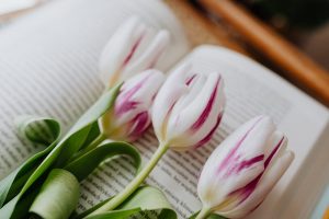 книги и цветы