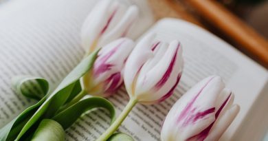 книги и цветы