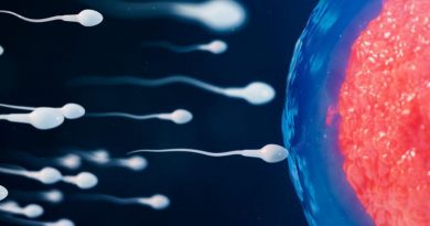 Падение количества сперматозоидов и скромные размеры