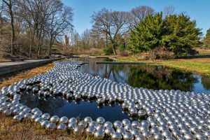 Narcissus Garden is 1,400 stainless-steel spheres float along the water feature in the New York Botanical Garden.