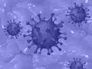 20000 лет назад в Восточной Азии уже случались эпидемии коронавируса  