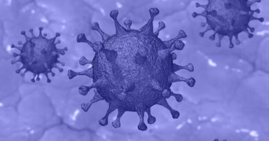 20000 лет назад в Восточной Азии уже случались эпидемии коронавируса