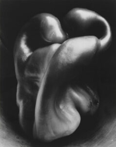 Pepper No. 30, 1937 by Edward Weston. Photograph: National Science & Media Museum/Science & Society Picture Library / © Center for Creative Photography, Arizona Board of Regents
