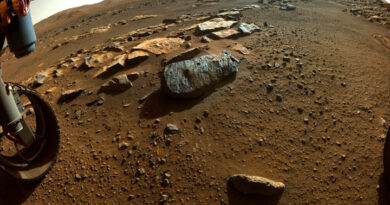 NASA заявило о возможности существования жизни на Марсе