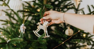 Рождественская елка: этический подход к приобретению и утилизации