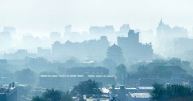 Лондонцев предупреждают об ухудшении качества воздуха в пятницу