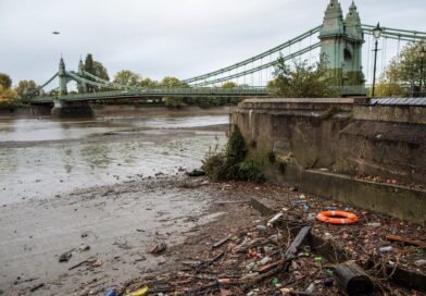Специалисты бьют тревогу по поводу ухудшения качества воды в Англии