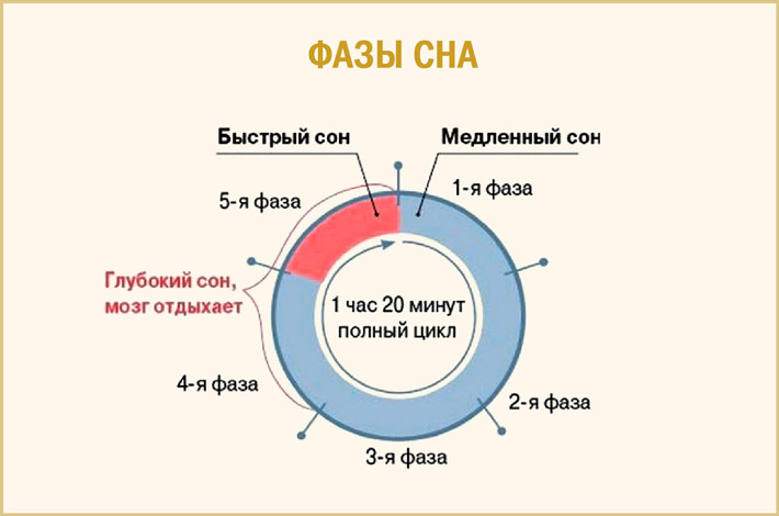 Что такое сон проект