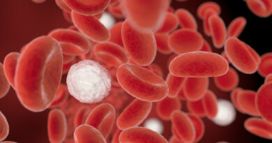 Микропластик в крови: предсказания ученых сбываются