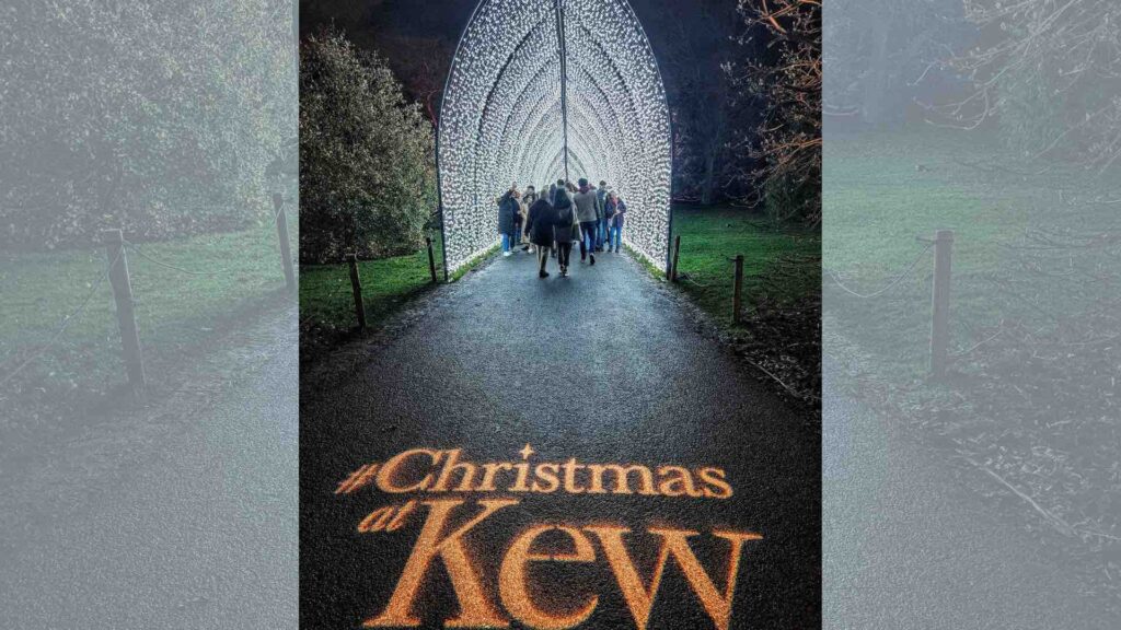 Рождественские огни в Kew Gardens