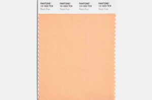 ​​Pantone объявил персиковый цветом 2024 года