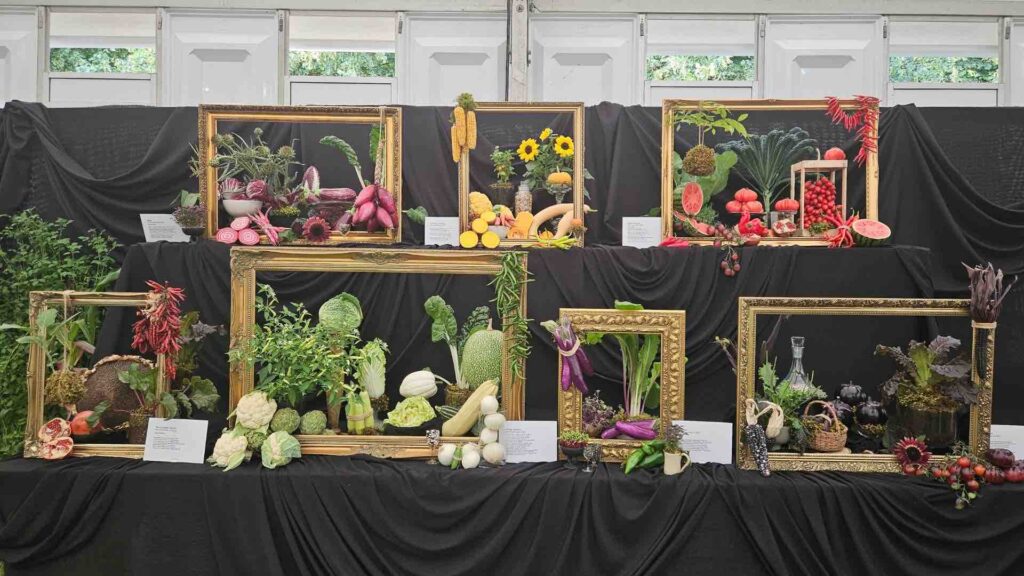 Цветочная выставка RHS Hampton Court Palace Garden Festival