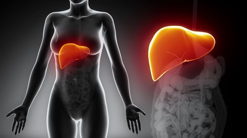 Климакс — наука гормонального взросления. Шаг второй: удаление «плохого» эстрогена