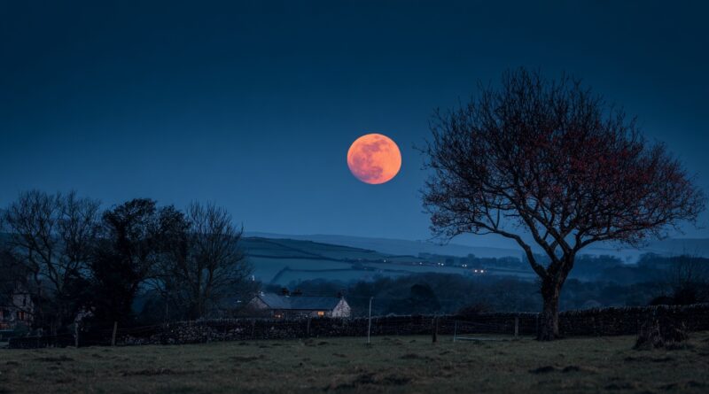 Кровавая луна