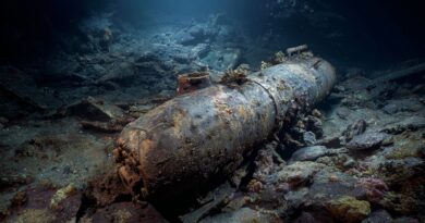 Ржавчина, фосген и молчание моря: мрачная история Бьюфортс-Дайк