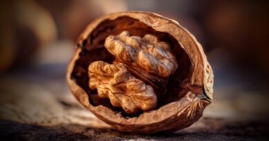 Грецкий орех: философ в скорлупе и чемпион по омега-3