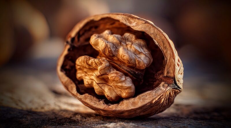Грецкий орех: философ в скорлупе и чемпион по омега-3