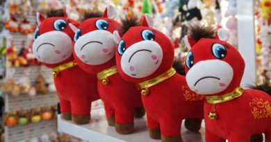 Плачущая лошадь на Новый год: как производственный брак стал хитом