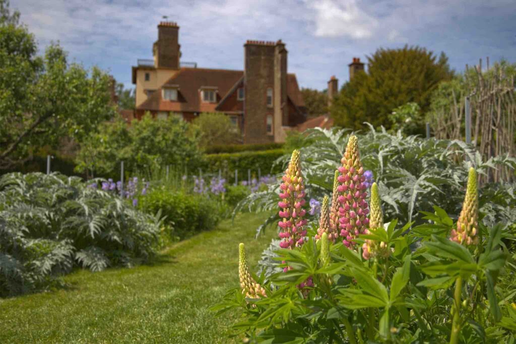 Станден-хаус в Суссексе: антидворец викторианской Англии