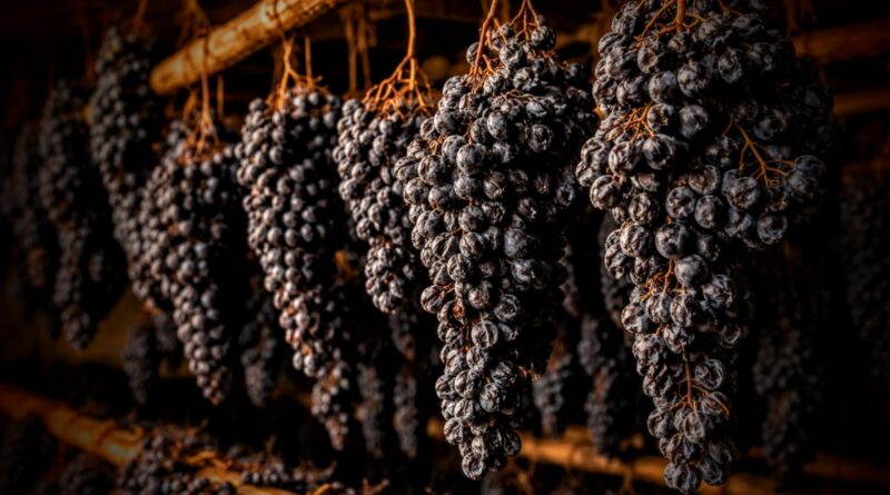 Аппассименто: тихая магия подсушенного винограда