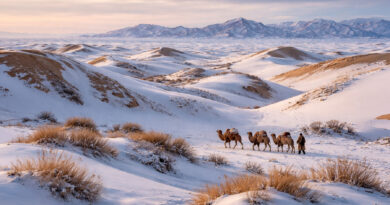 Настоящая Гоби: холодная пустыня без иллюзий