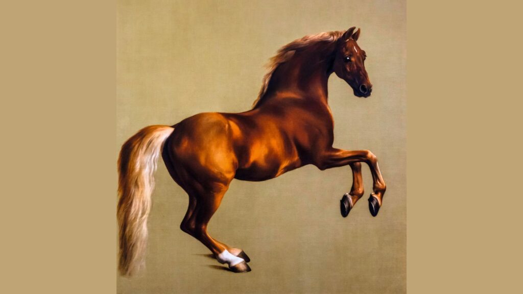 Выставки, которые стоит посетить в марте 2026 года